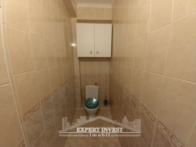 Chișinău mun., ,Apartmente,For Rent,str. Dokuceaev,1117