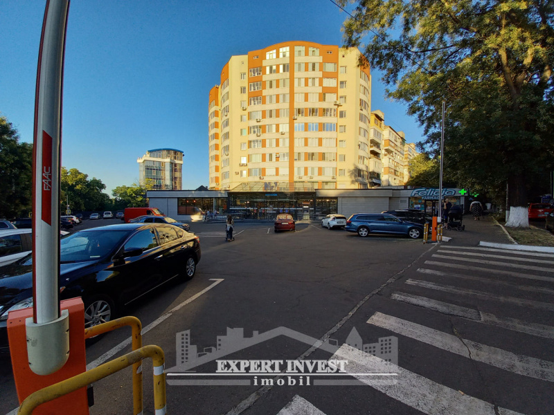 Chișinău mun., ,Apartmente,For Rent,str. Dokuceaev,1117