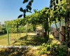 Chișinău mun., ,Case,For Sale,Telecentru,1298