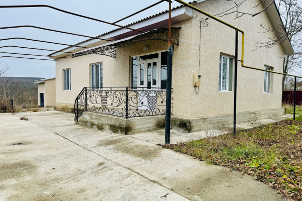 Hîncești, ,Case,For Sale,Sărata Galbenă,1335