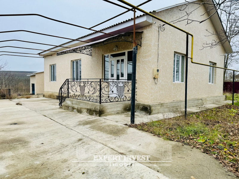 Hîncești, ,Case,For Sale,Sărata Galbenă,1335